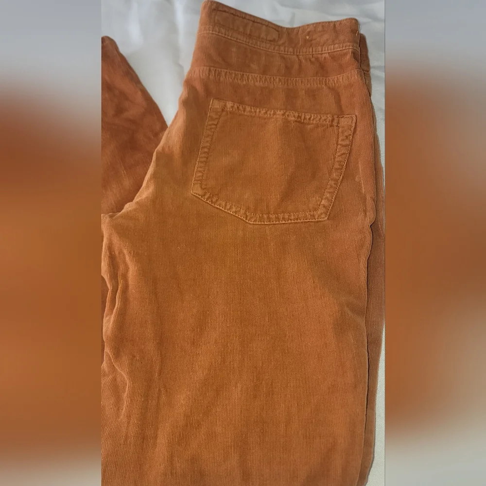 Pilcro and the letterpress corduroy skinny jeans / pants - Picture 9 of 16